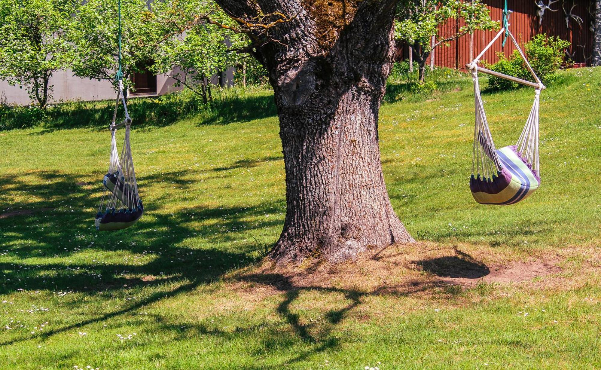 Lejasbisenieki Villa Turaida Dış mekan fotoğraf
