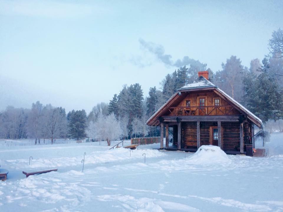 Lejasbisenieki Villa Turaida Dış mekan fotoğraf